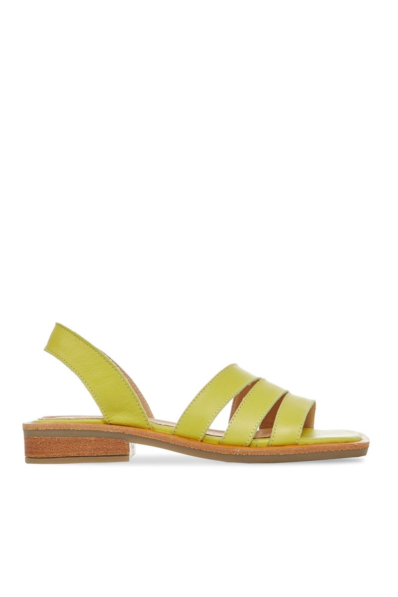 Bohemia Shoes